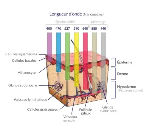 longueur-onde-photomodulation