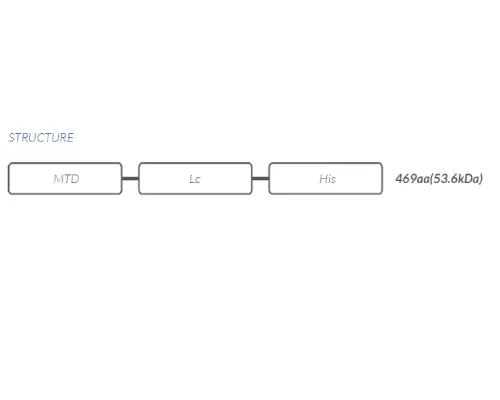 schéma simplifié de la Structure Bolca+